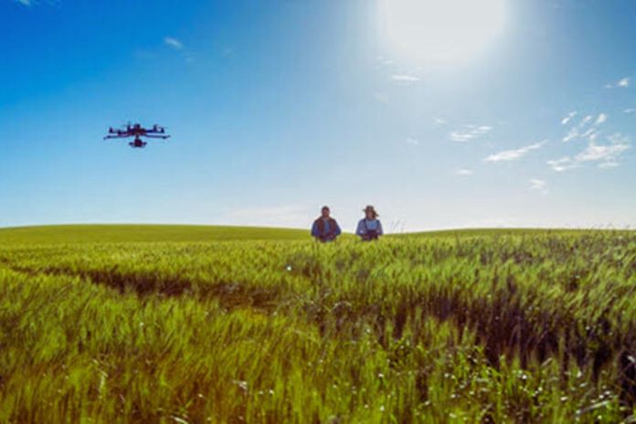 Technology In Agribusiness: How To Prepare